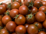 Tomates cerises Yoom