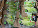 Salade romaine sachet