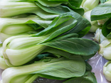 Pak Choï bio
