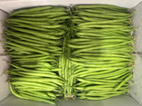 Haricots verts extra fin
