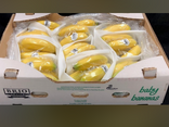Bananes Frécinette bio