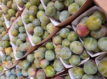 Prunes Reine Claude Extra