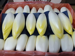 Endives