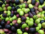 Mélange d'olives