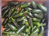 Piments Jalapeno Negro