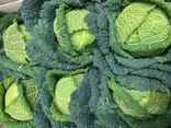 Chou vert