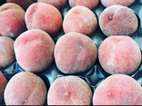 Pêches de Vigne Extra