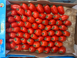 Tomates Torino