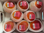Mangue à maturiter