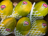 MINI PAPAYE OU (DEMI PAPAYE)
