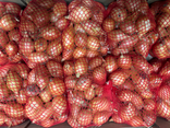 Oignons grelots Filet