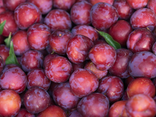 Prunes rouges