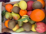 Panier De Fruits De Saisons 4KG