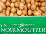 Pommes de terre Noirmoutier