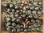 Tomates cerises noir