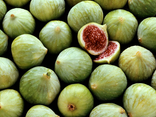 Figues vertes extra