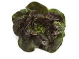 Rougettes bio