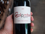Colombe rouge