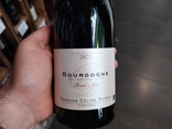 Bourgogne Pinot Noir
