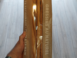 Gressins artisanaux
