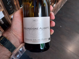 Bourgogne Aligoté