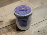 YAOURT Entier MYRTILLE pot 180 gr