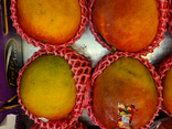 Mangue - avion