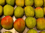 Mangue promo
