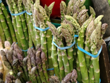 Lecomte Primeurs