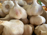 Ail blanc