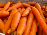 Carottes