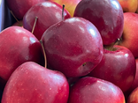 Pommes Story