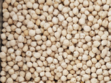 Pois chiches - vrac