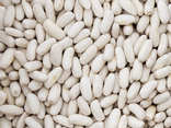 Haricots blancs - vrac
