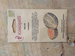 Graines de Melon