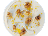 Nonna - Glace SACHA - pot 500ml