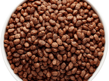 Céréales Choco Crisp - vrac