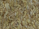 Fenouil graines - vrac