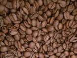 Café en grains "Brezil" - vrac