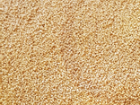 Graines de couscous complet - vrac