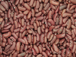Haricots rouges - vrac