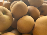 Pomme Reinette grise 500g