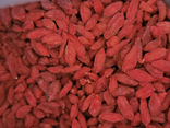 Baie de Goji - vrac