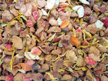 Infusion, Sous les Alizés