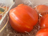 Tomate cœur de bœuf