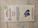 Graines de Aubergine