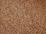 Quinoa blond - vrac