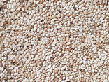 Graines de Sésame blond - vrac