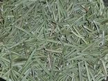 Romarin feuilles - vrac