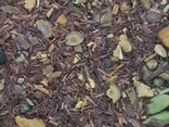 Rooïbos rouge, African Chaï - vrac